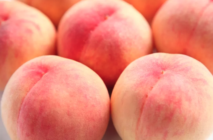 Screenshot 2024-07-13 at 02.43.05